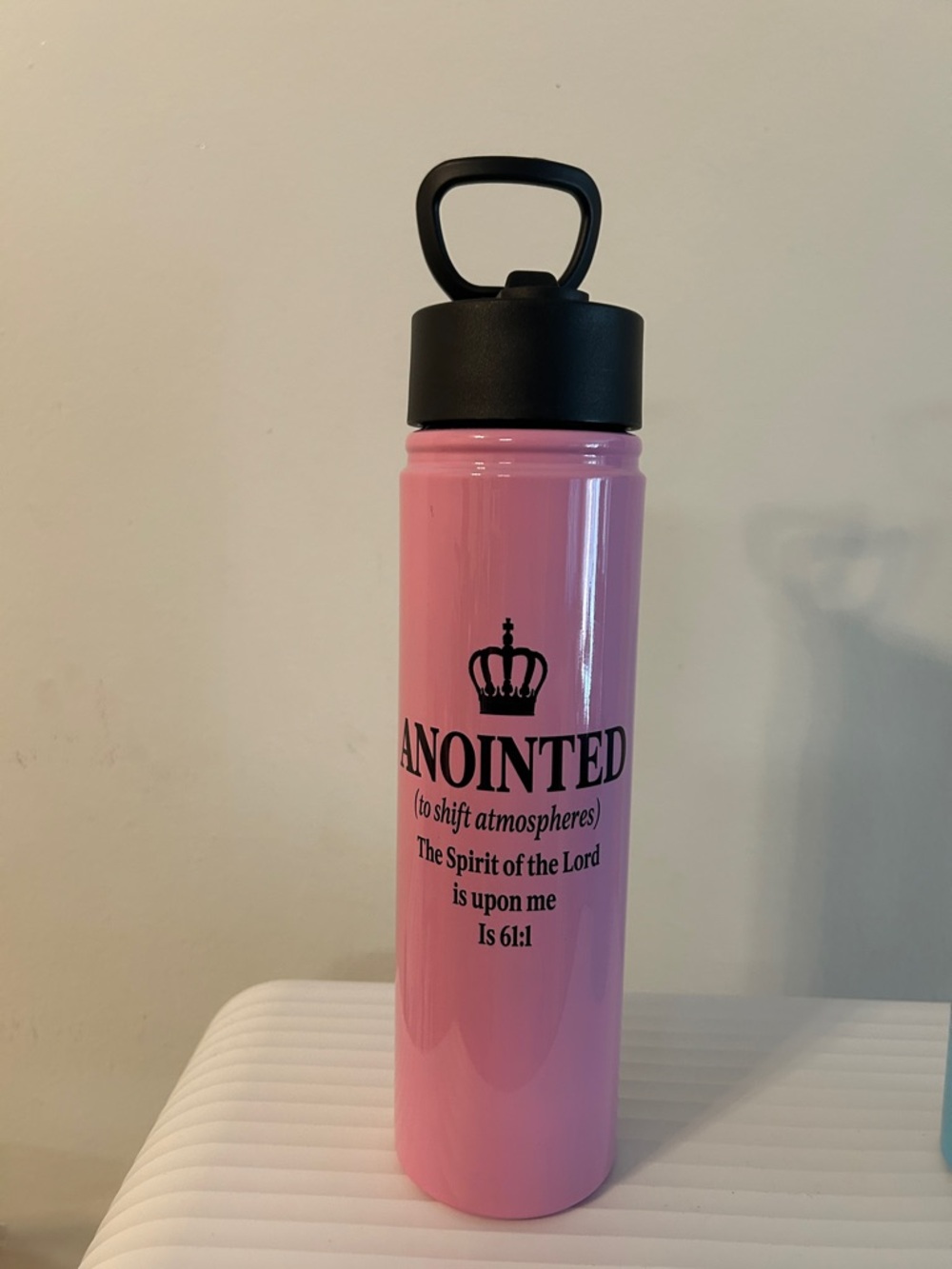 Pink Anointed Stainless Water Bottle with Inspirational Scripture